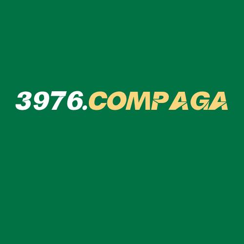 Logo da 3976PAGA